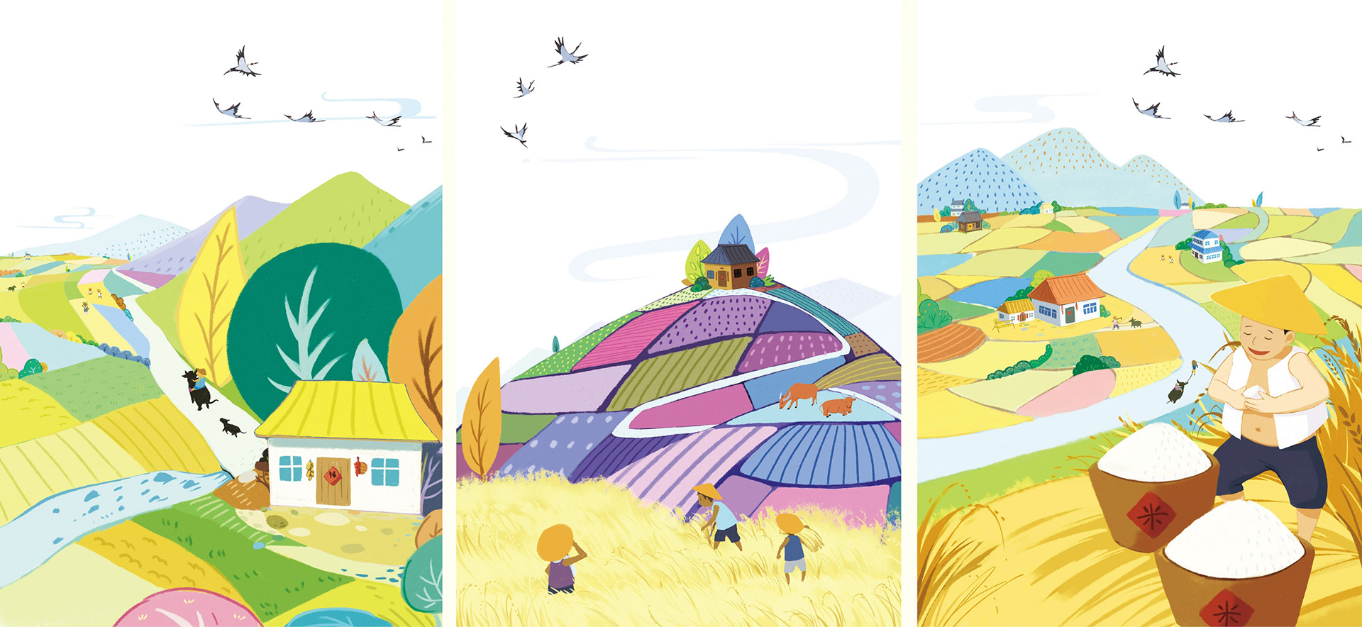 五常大米包裝設(shè)計(jì)